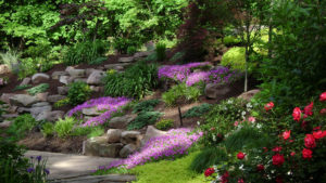 Colorful Garden Ideas | Hively Landscapes